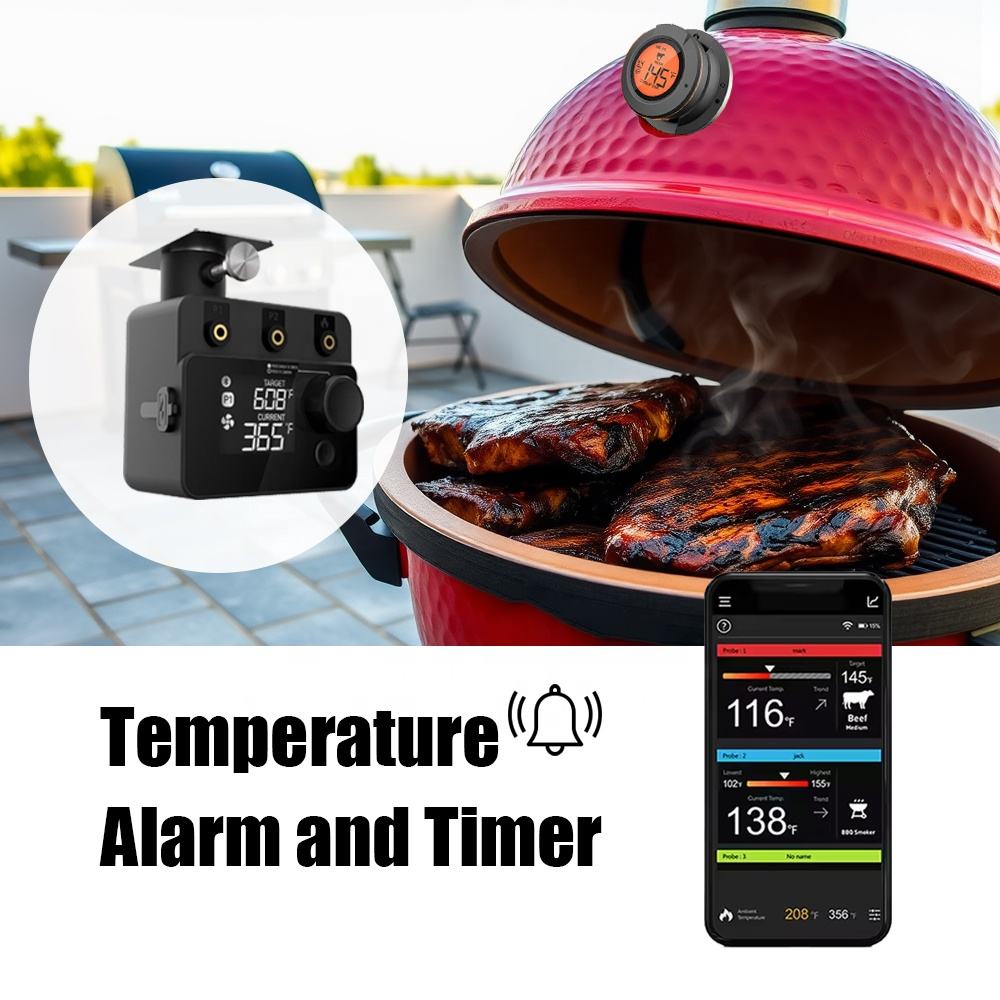 Draadloze Bluetooth-vleestherm - Electric Smoker Bbq recensie en prijs