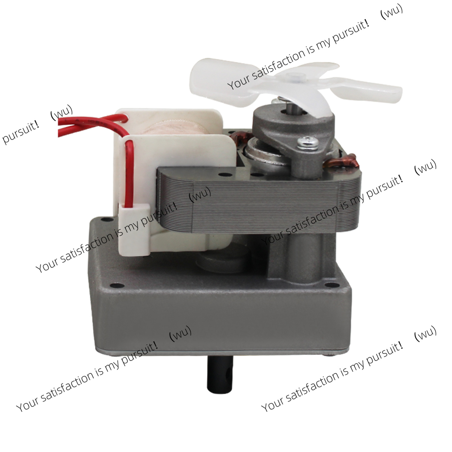 220V 2.0 rpm Vervanging Auger  - Electric Smoker Bbq recensie en prijs
