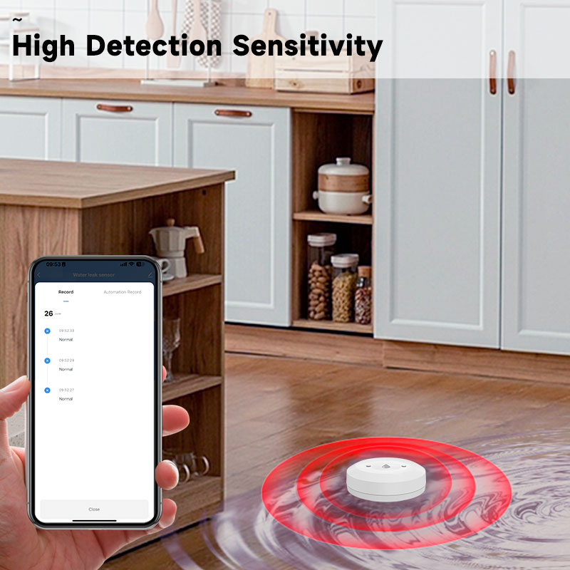 Tuya ZigBee Smart Waterleksens - Kitchen Appliances Video recensie en prijs