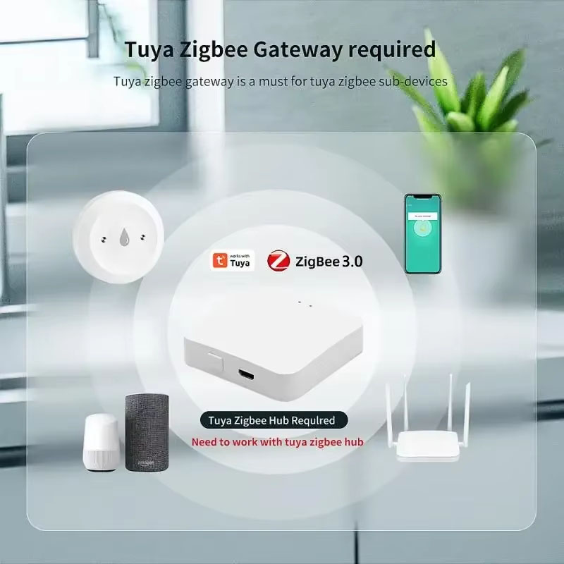 Tuya ZigBee 3.0 Waterlekdetect - Kitchen Appliances Video recensie en prijs