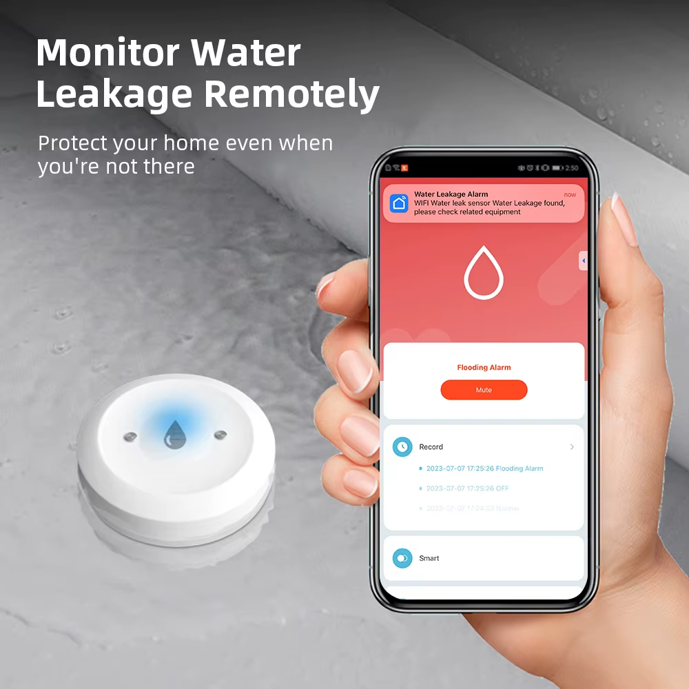 ZigBee Smart Waterleksensor Ov - Kitchen Appliances Video recensie en prijs